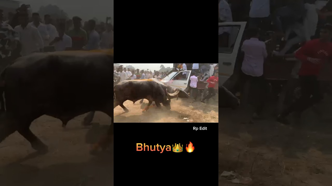 Bhutya King 👑🔥 
