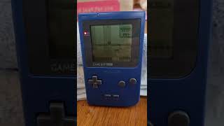 pokemon blue on blue gameboy pocket! #pokemon #gameboy #retrogaming