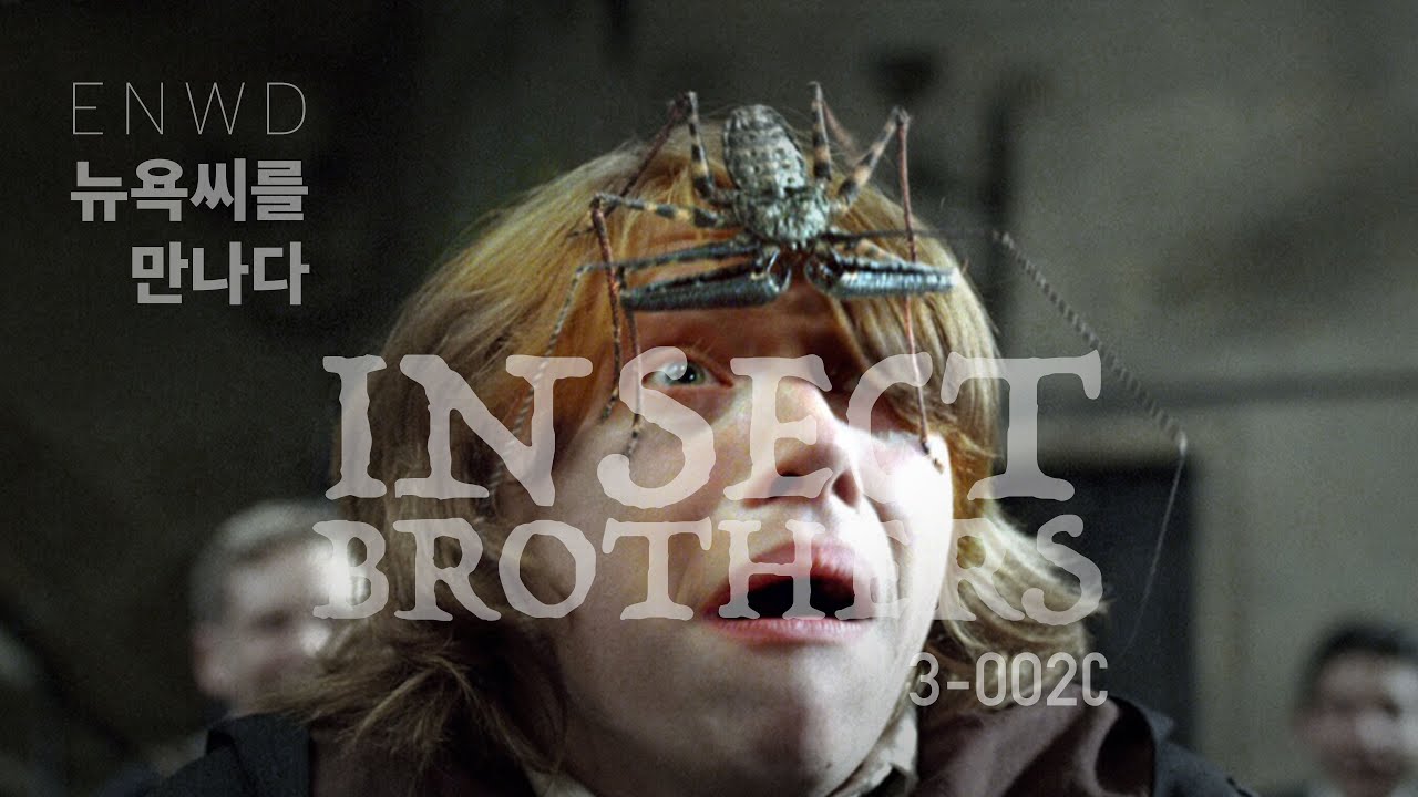 [뉴욕씨를 깊이 만나다] ENWD 3-002 INSECT BROTHER, 곤충과 조우하다 PART III - YouTube