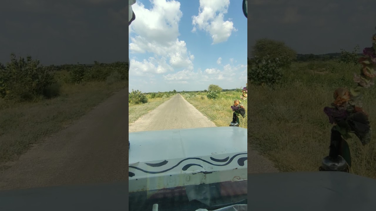 Thar roadside area green, Beautiful Manzahar Thar