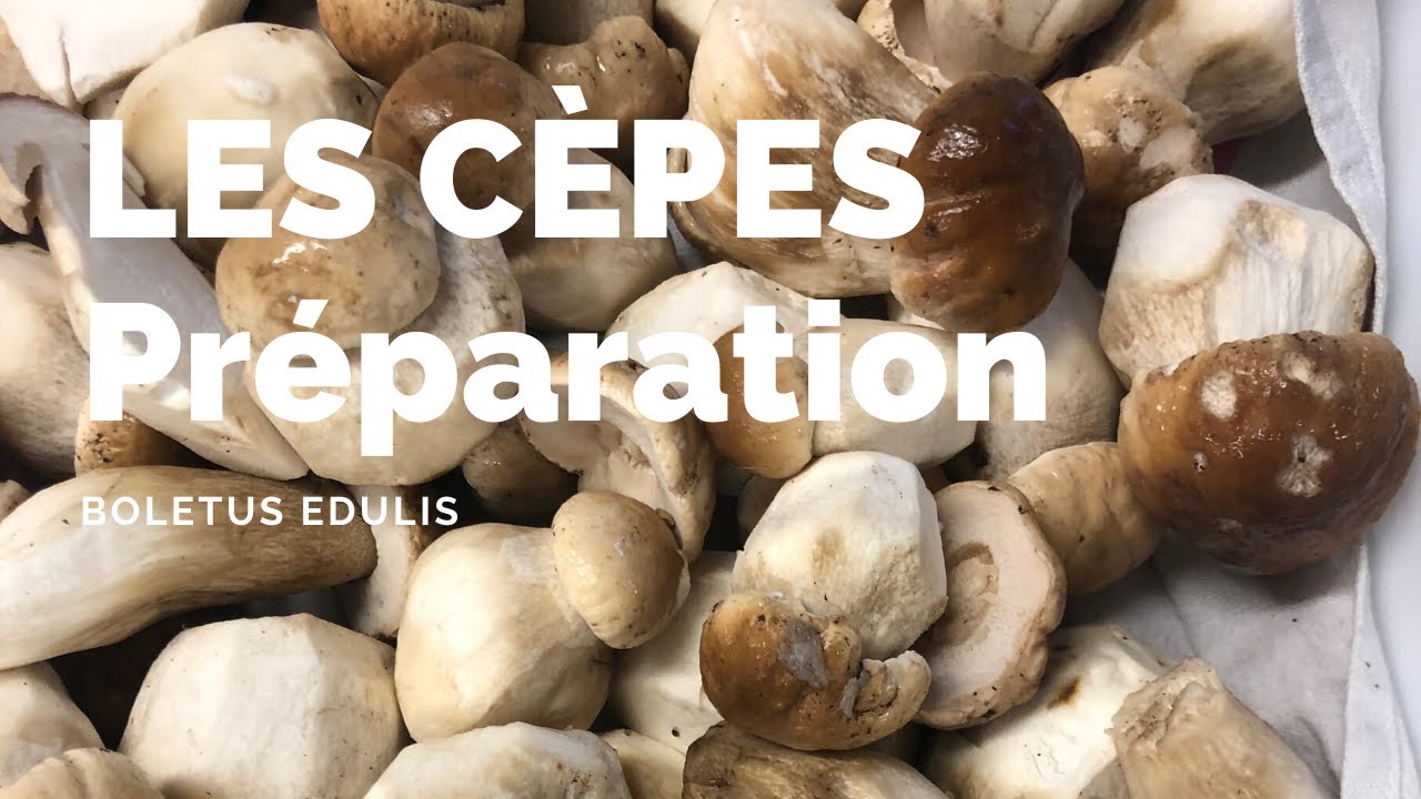 Préparation des cèpes