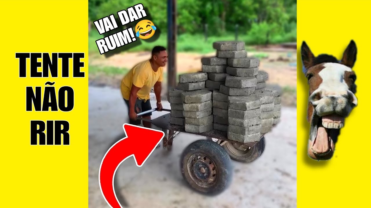 VÍDEOS ENGRAÇADOS 51: TENTE NÃO RIR #tentenaorir #videosengracados #humor #comedia #memes #viral 