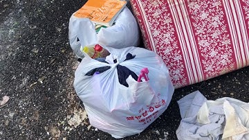 Đi Nhặt Rác Ở Nhật Bản Gặp Tủ Lạnh Mới tinh Đã Vứt Vào Bãi Rác | Lee Xuân Tùng - Cuộc Sống Nhật