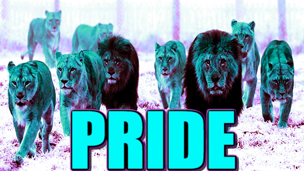 MrTrakky's Real Life Episode 10 PRIDE - Black Ops 3 Brutal Medal Nuclear Fail!