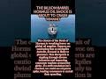 The billion-barrel Hormuz oil shock is about to crash demand l #shorts #worldnews #usa