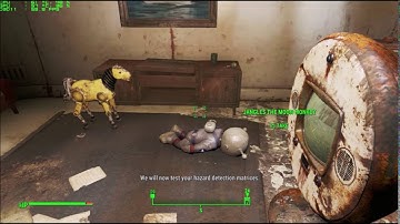 Fallout 4 - Quality Assurance