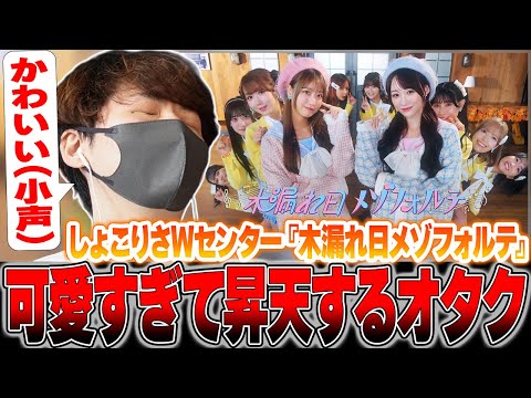 【＝LOVE】最新c/w『木漏れ日メゾフォルテ』秋にぴったりなMVで可愛すぎて昇天するオタク😇【19th Single c/w 木漏れ日メゾフォルテ】