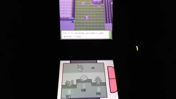 LIVE Shiny patch & shiny Hoothoot! Part 1 intro shiny hunt inspired by Daniel Lane