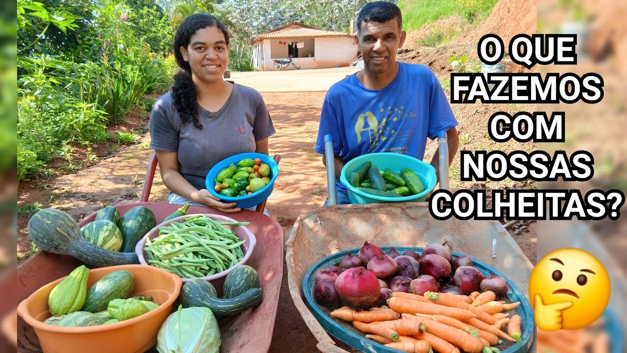 O QUE FAZEMOS COM NOSSAS COLHEITAS?FICAMOS ENCANTADOS COM TANTAS VARIEDADES,TUDO PRODUZINDO,FARTURÃO