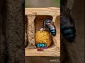 mudinsect #mudwasp #muddauber #insects #insectlife #insectlover #nature #naturelovers #wildlife