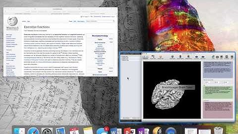Frontal Lobe Circuits 1 DorsoLateral PreFrontal Cortex (DLPFC) (Improved Audio)