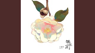 茶花开了