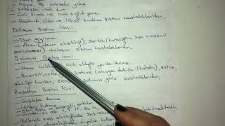 6. Sinif Si̇stemleri̇n Sağliği