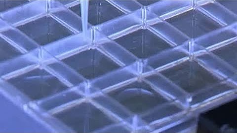 QPix System Plate and Streak