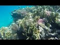 Egypt - Snorkeling  Hurghada  - Titanic Palace   4K