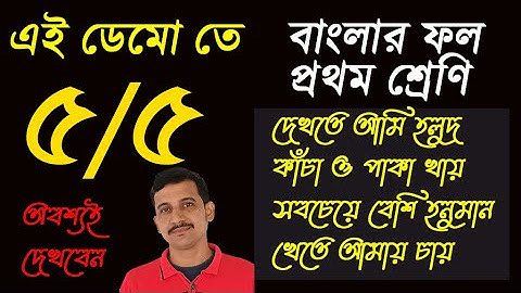 পাঁচে পাঁচ  //এই ডেমো তে পাঁচ আসবে  না ?  //  Teaching demo  Primary Interview  // Nandi Academy