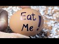 OMG RAW EGGS PEELING ASMR LIVE #4