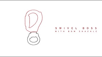 Directors - Captive Eye and Boss Swivel