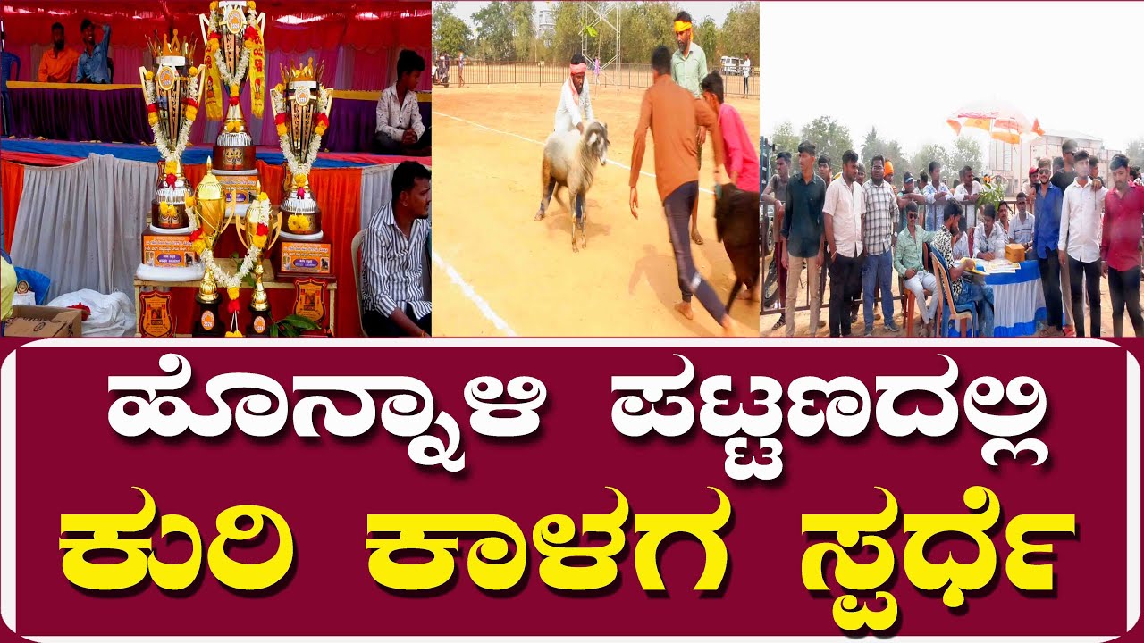ಹೊನ್ನಾಳಿ ನಗರದಲ್ಲಿ ಎರಡು ದಿನದ ಕುರಿ ಕಾಳಗ ಸ್ಪರ್ಧೆ