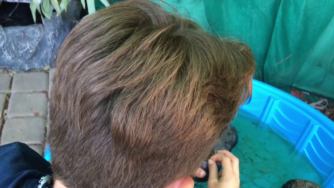 How to make a cheap turtle encloser