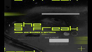 Armin van Buuren, Skytech - She A Freak (Extended Mix)