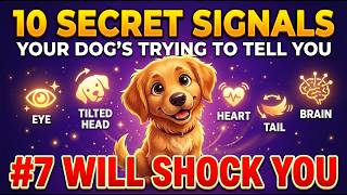 10 Secret Signals Your Dog Sends You Every Day (#7 Will Shock You)#dog #dogbehavior #dogpsychology