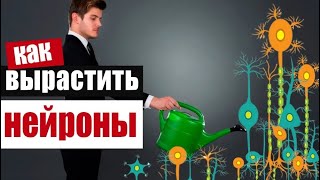 Нейрогенез - выращиваем новые нейроны в домашних условиях. Нервные клетки восстанавливаются!