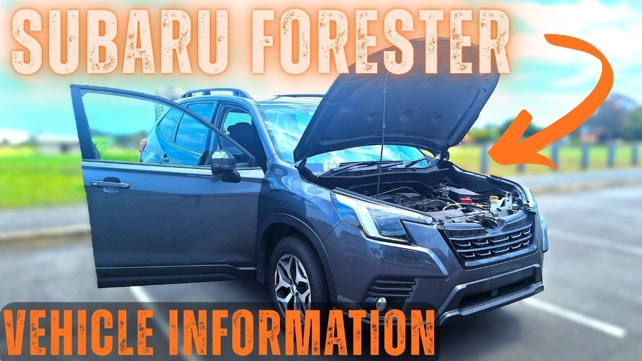 Subaru Forester: Как найти VIN-код, код краски, дату выпуска и информацию о шинах