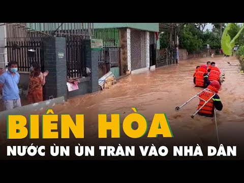 Biên Hòa: Mưa lớn khiến nước ùn ùn tràn vào nhà dân, nhiều tuyến đường ngập sâu