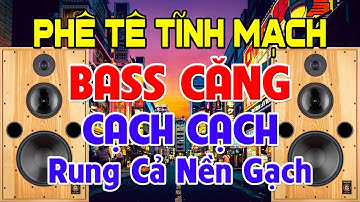 Phê Tê Tĩnh Mạch, Nhạc Test Loa CỰC CHUẨN 8D - Nhạc Disco REMIX Bass Căng Cạch Cạch➤Rung Cả Nền Gạch