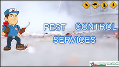 Pest Control Service in Qatar , Pest Control Company Doha Qatar 