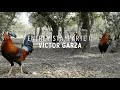 Víctor Garza, Granja Tres Amigos y Jumper, entrevista parte II, Pie de Cría oficial.