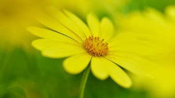 Things That Effect The Heart [The Fiqh of Fasting (Part 2)] - Aboo Suhailah 