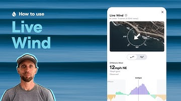 How to Use Live Wind to Understand Conditions at Your Break