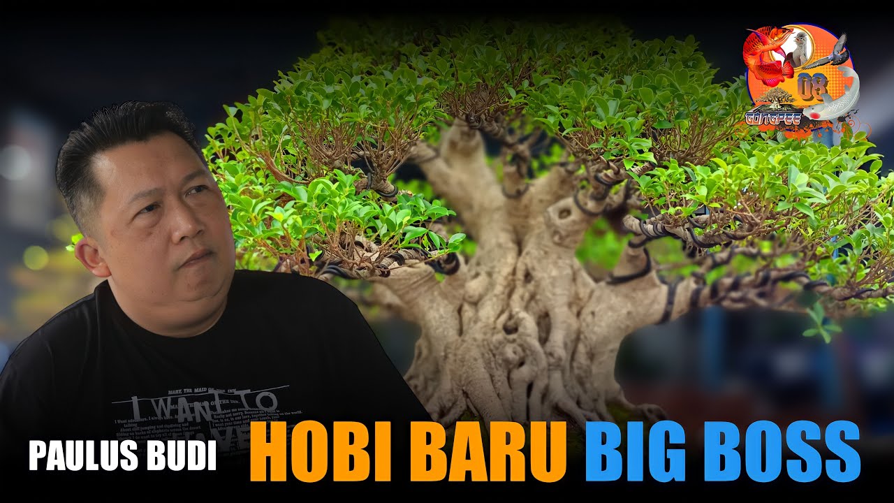 PERKENALAN DENGAN OWNER GONGPEE08 HOBIES, HOBI BARU GONGPEE08 BONSAI