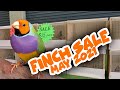 Finch Sale May 2021 - Queensland Finch Society