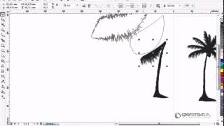 Corel DRAW X4 Tutorial Wektorowa palma