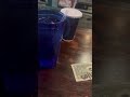 Putting a Dollar on the ceiling fan ￼