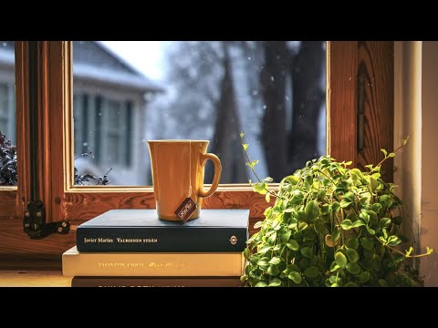 Song for a warm winter☕Relaxing Winter Coffee Indie/Folk/Acoustic Pop/Soul Music For Morning | 24/7🔴