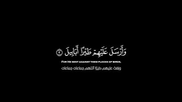 ياسر الدوسري ||سورة الفيل#quran #شاشة_سوداء #قران #شاشة_سوداء_قران_كريم #ياسر_الدوسري #راحة_نفسية