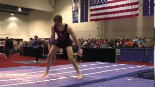 Robert Neff - Vault - 2016 Winter Cup Finals