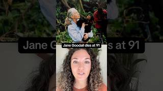 Renowned conservationist Jane Goodall dies at 91 #shorts