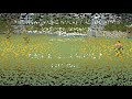20210307 - HKHA Men's Premier League - Highlights  KNS A vs HKFC A