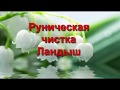 Руническая чистка Ландыш Чистка рунами