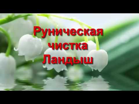 Как сделать чистку на рунах 59 Как сделать чистку на рунах 39
