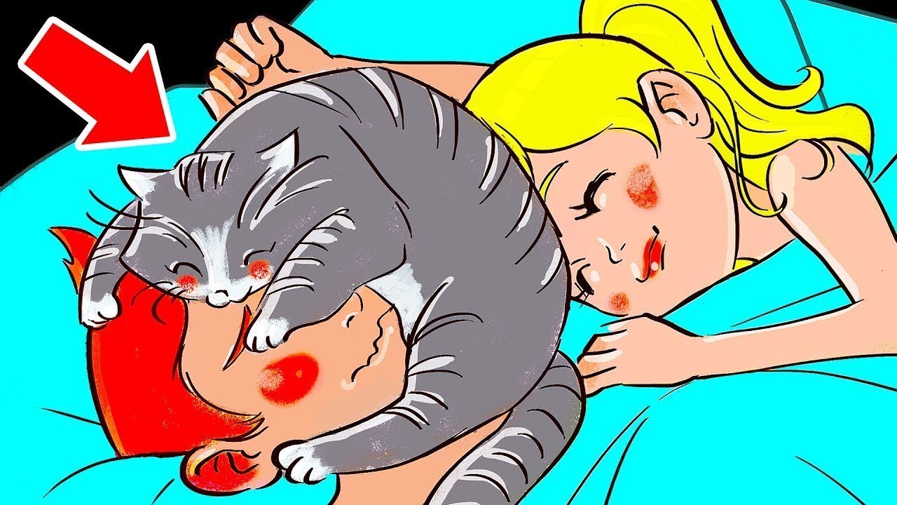 13 Ways Cats Show They Love You