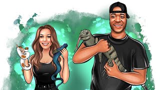 HUGE Ball Python ovulation. Net Worth