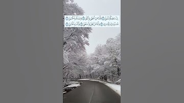 سورة الليل - قرآن كريم #shortvideo #qurantranslationhd #اكسبلور #تلاوة_خاشعة #سورة_الليل