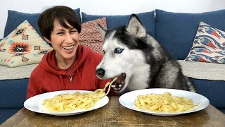 Greedy Husky Ate My Spaghetti! Dog VS Human In Eating Competition