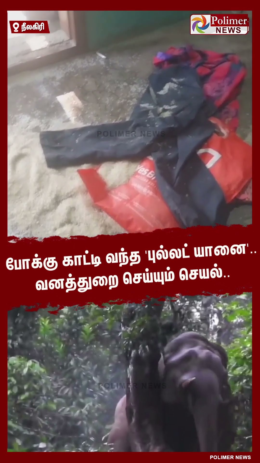 போக்கு காட்டி வந்த 'புல்லட் யானை'.. வனத்துறை செய்யும் செயல்.. #shorts